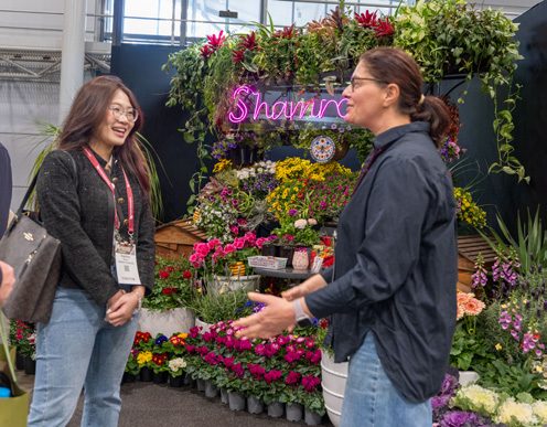 Visitors in front of a flowering plant display